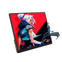 Портативный Монитор ZSUS 14A-2K