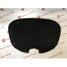 Обшивка капота Tesla Model 3 0000021-00-T