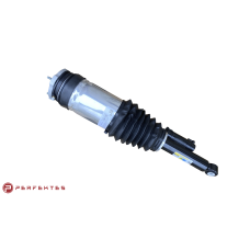 Амортизатор задній адаптивний (пневмо) (2015-2021) LH Tesla Model X 1620461-00-D